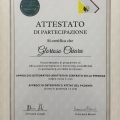 Ingrandire l'immagine: certificate 6