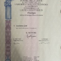 Ingrandire l'immagine: certificate 1