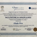 Ingrandire l'immagine: certificate 2