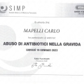 Ingrandire l'immagine: certificate 19