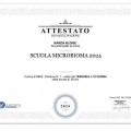 Ingrandire l'immagine: certificate 1