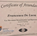 Ingrandire l'immagine: certificate 5