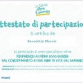 Ingrandire l'immagine: certificate 4