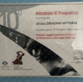 Ingrandire l'immagine: certificate 5