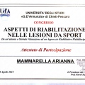 Ingrandire l'immagine: certificate 11