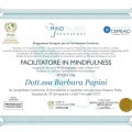 Ingrandire l'immagine: certificate 7