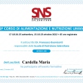 Ingrandire l'immagine: certificate 4