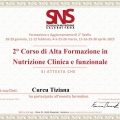 Ingrandire l'immagine: certificate 14