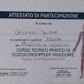 Ingrandire l'immagine: certificate 4