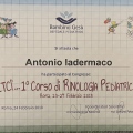 Ingrandire l'immagine: certificate 37