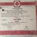Ingrandire l'immagine: certificate 1
