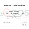 Ingrandire l'immagine: certificate 1