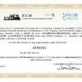 Ingrandire l'immagine: certificate 3