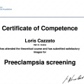 Ingrandire l'immagine: certificate 2