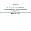 Ingrandire l'immagine: certificate 7