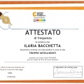 Ingrandire l'immagine: certificate 5