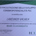 Ingrandire l'immagine: certificate 2