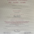 Ingrandire l'immagine: certificate 1
