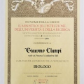 Ingrandire l'immagine: certificate 3