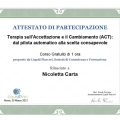 Ingrandire l'immagine: certificate 1