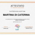 Ingrandire l'immagine: certificate 4