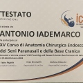 Ingrandire l'immagine: certificate 20