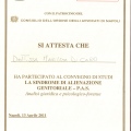 Ingrandire l'immagine: certificate 21