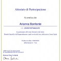 Ingrandire l'immagine: certificate 9