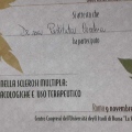 Ingrandire l'immagine: certificate 5