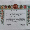 Ingrandire l'immagine: certificate 2