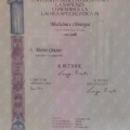 Ingrandire l'immagine: certificate 1