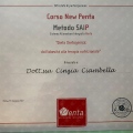 Ingrandire l'immagine: certificate 4