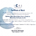 Ingrandire l'immagine: certificate 1