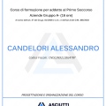 Ingrandire l'immagine: certificate 1