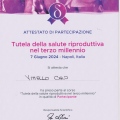 Ingrandire l'immagine: certificate 30