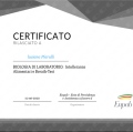 Ingrandire l'immagine: certificate 26
