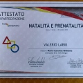 Ingrandire l'immagine: certificate 3