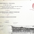 Ingrandire l'immagine: certificate 1