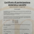 Ingrandire l'immagine: certificate 3