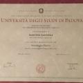 Ingrandire l'immagine: certificate 1