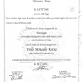 Ingrandire l'immagine: certificate 1