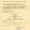 Ingrandire l'immagine: certificate 2