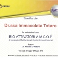 Ingrandire l'immagine: certificate 8