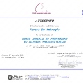 Ingrandire l'immagine: certificate 6
