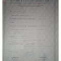 Ingrandire l'immagine: certificate 13