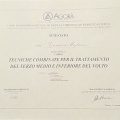 Ingrandire l'immagine: certificate 6