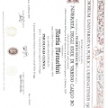 Ingrandire l'immagine: certificate 4