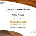 Ingrandire l'immagine: certificate 4