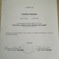 Ingrandire l'immagine: certificate 3