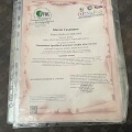 Ingrandire l'immagine: certificate 6